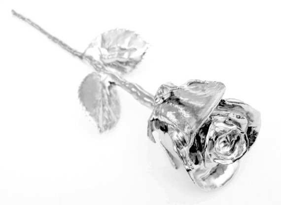silver dipped rose